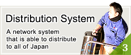 3.  Distribution System